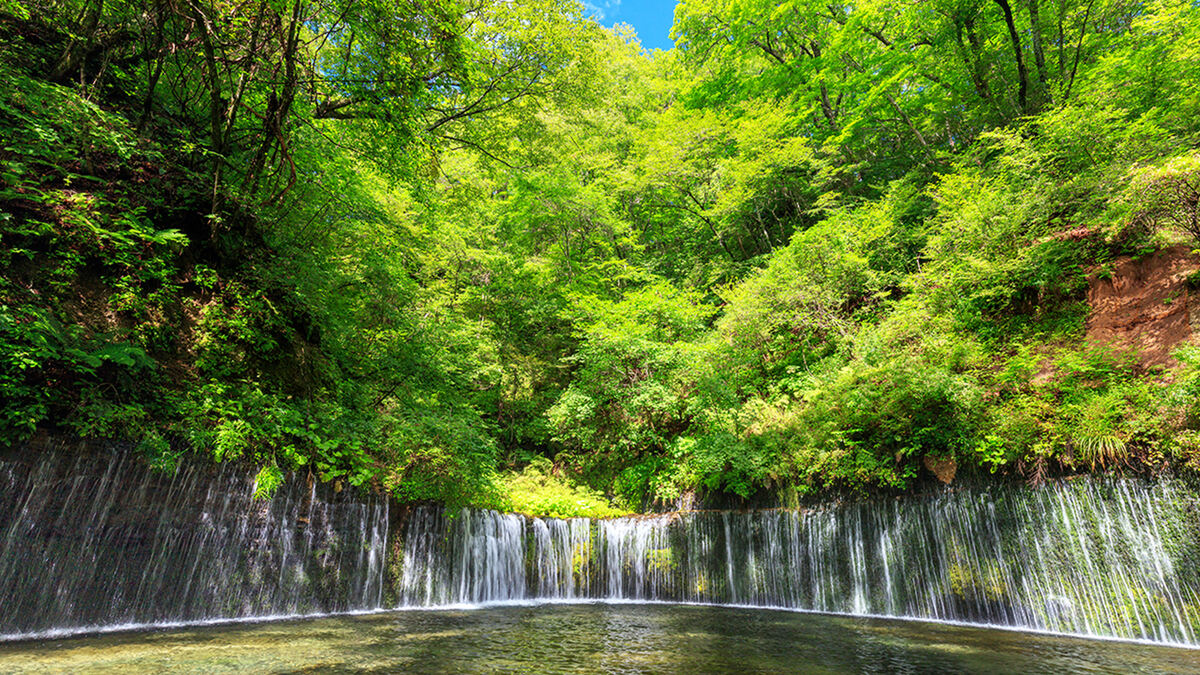 One-day tour to Karuizawa Koedo | Karuizawa Prince Outlet or Hoshino Resorts + Hikawa Shrine + Kawagoe Koedo - Main Image