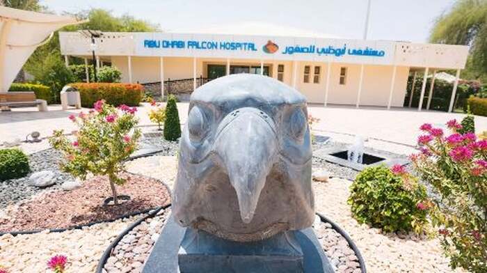 Abu Dhabi Falcon Hospital Tour Experience Day Tours - Main Image