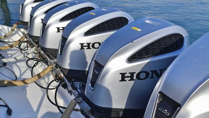 556d5b26-a89b-464e-b933-3705fd811e2f_alt