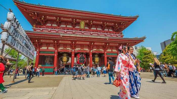 Tokyo Private Tour by Vehicle with English-Speaking Chauffeur Day Tours - Main Image