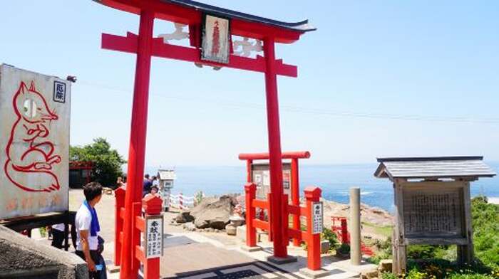 1-day tour of Moji Port, Karato Fish Market, Tsunoshima Bridge, and Motonosumi Shrine in Kitakyushu, Japan Day Tours - Main Image