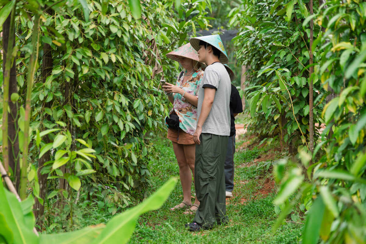 Phu Quoc Only Private Experience Tour - Pepper Farm, Cooking Class, Local Food & Basket Boat - Main Image