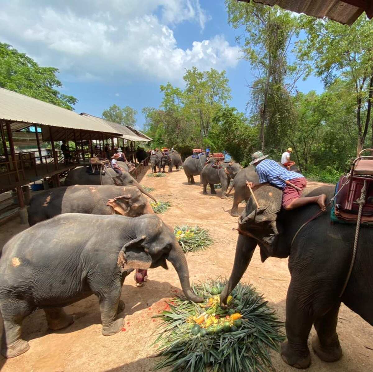 Chang Siam Krating Lai Pattaya - Main Image