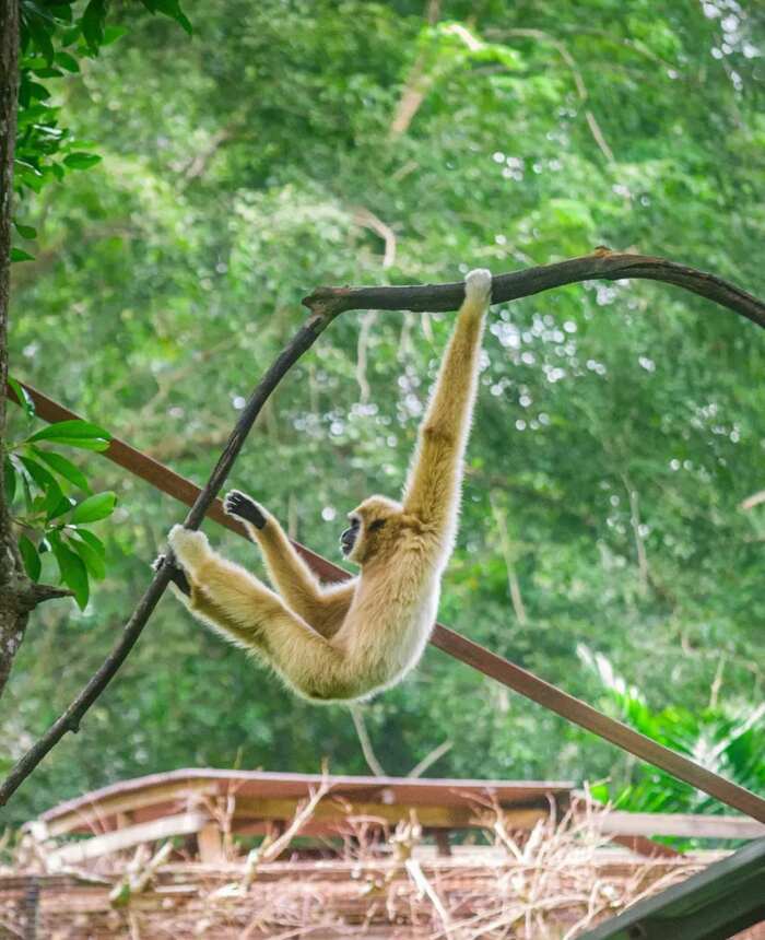 Zoo Melaka - Main Image