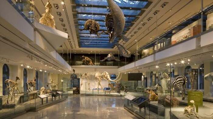 Natural History Museum of Los Angeles County: Entry Ticket - Main Image