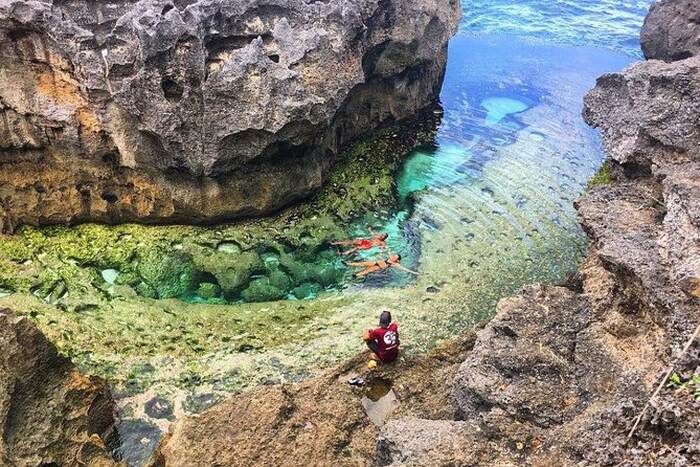 3401621d-dcb5-4482-8ffa-12523c24903d_alt