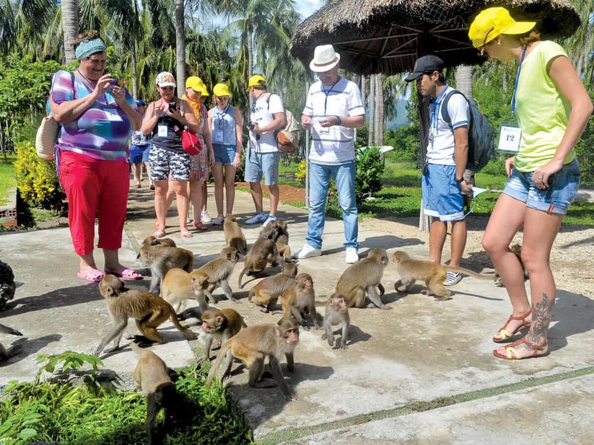 Combo Monkey Island + Orchids Island Ticket in Nha Trang - Main Image