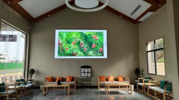 Yew Health Valley - Main Image