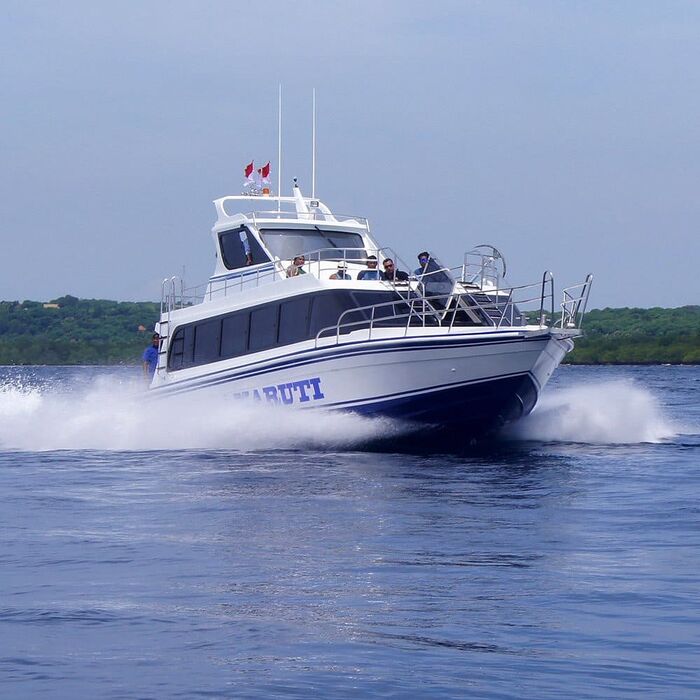 37746e4d-19ce-4ba8-9bc5-c33cc3475e2f_alt