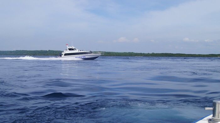 51a9845b-f984-44fd-9218-b13807de84b8_alt