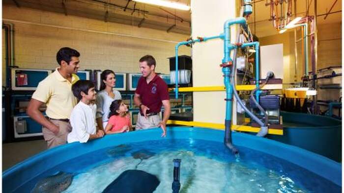 Atlantis Fish Tales Tour Including The Lost Chambers Aquarium - Main Image