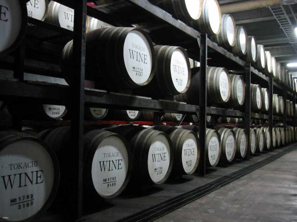Wine Castle & DCTgarden IKEDA Tour Bus Pack|Obihiro Departure|Tokachi, Hokkaido - Main Image