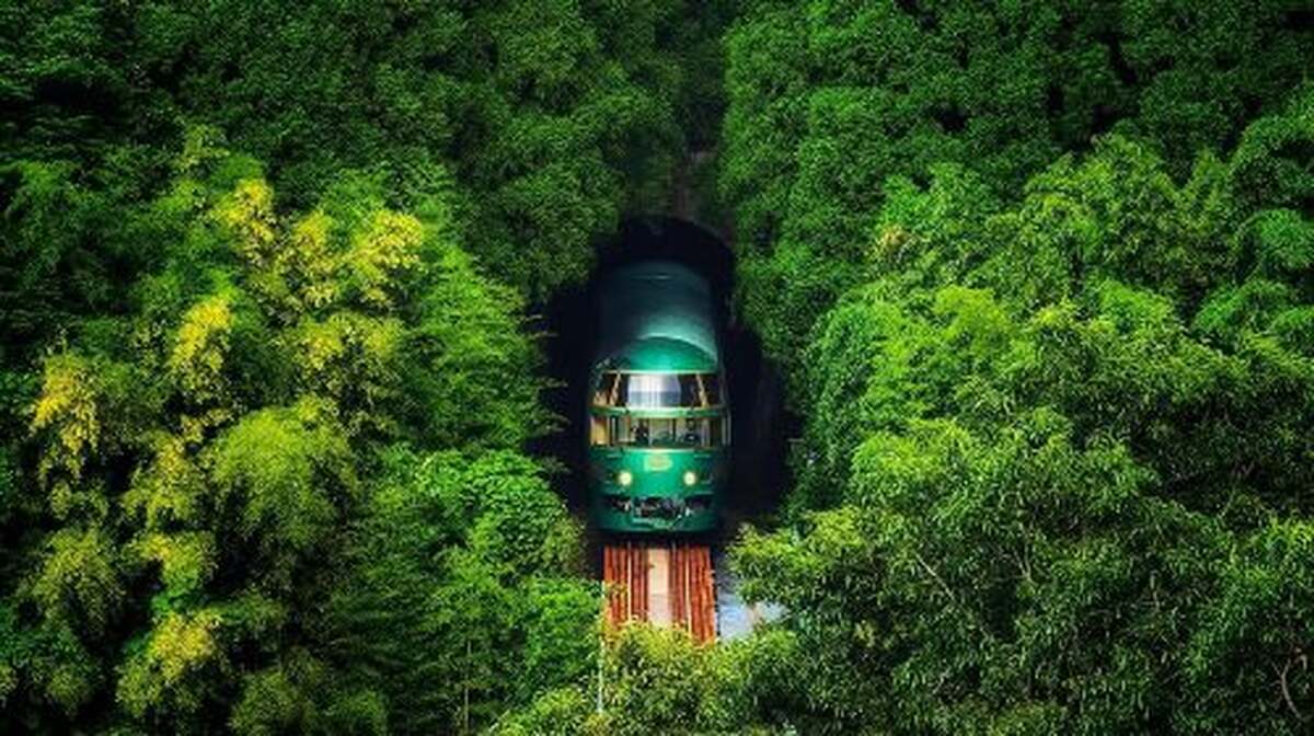 1-day tour to Beppu hells, African safari and Yufuin with Yufuin no Mori train experience - Main Image