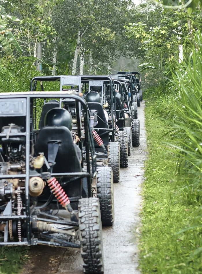 d1d41259-668b-4085-b4bf-a093c1b75f88_alt