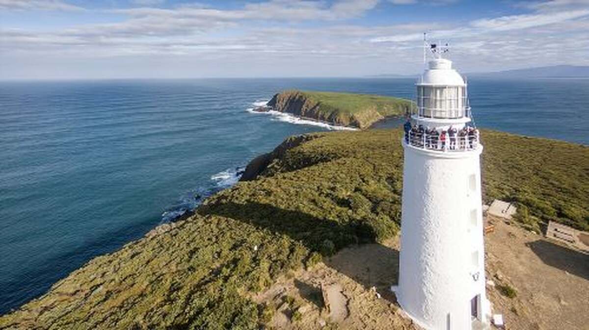 Bruny Island Food, Sightseeing, Guided Lighthouse Tour & Lunch Day Tours - Main Image