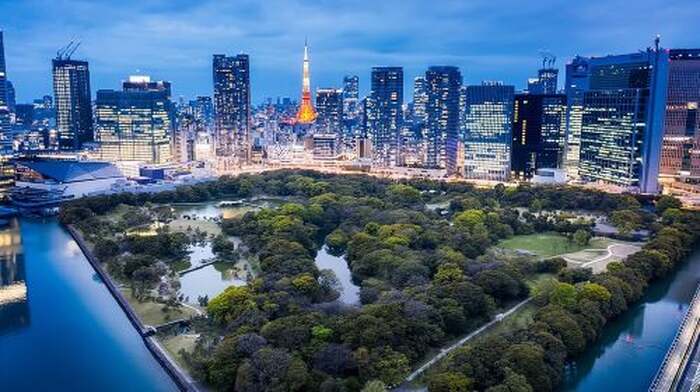Customizable Private Tokyo Tour with an English-speaking Driver Day Tours - Main Image