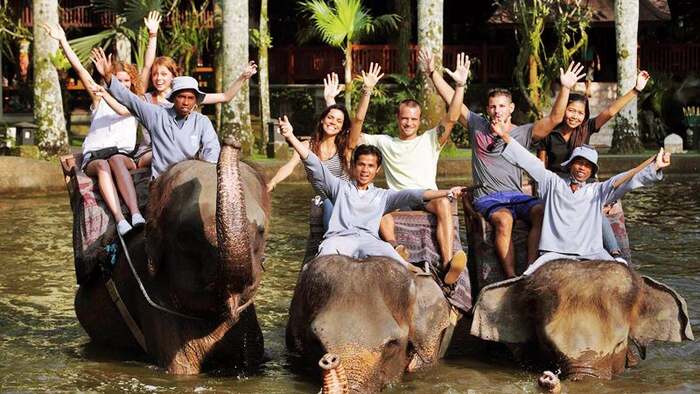 00a1dfcf-d47b-4cdb-9b67-fbaaffc3e47d_alt