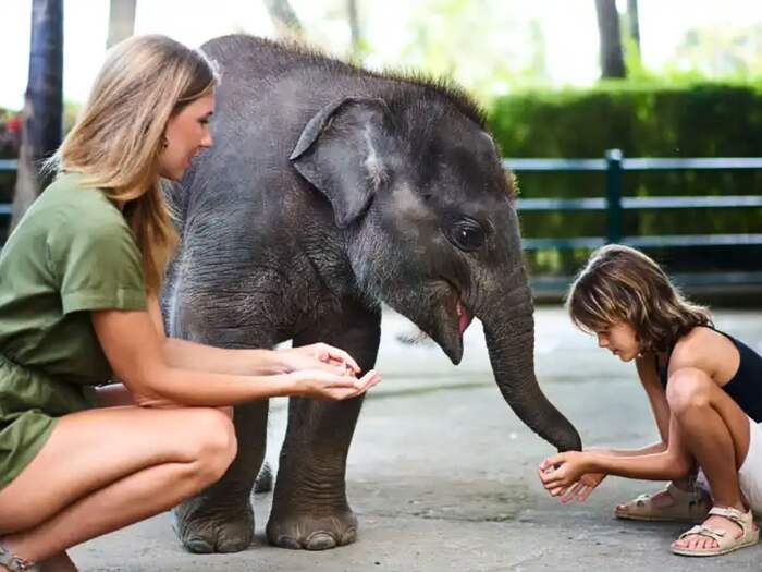 104d3930-ac86-420e-9044-d30f271c92e0_alt