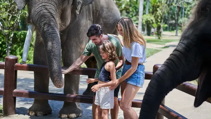 320dabae-1c06-4333-82df-03ce4058785e_alt