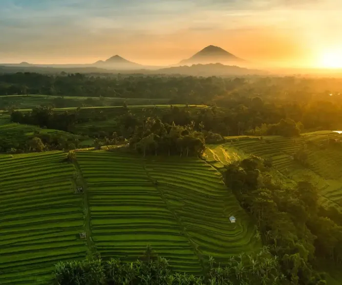 1330a6f2-1751-411f-8caa-fcaa6bac5585_alt