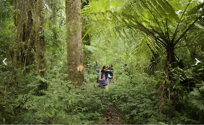 1341755c-e93c-4466-b59f-fc459a8735b6_alt