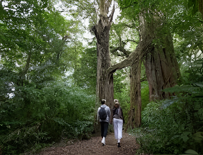 5d5a2475-4fa6-4dee-bfe2-832b23f22bbb_alt