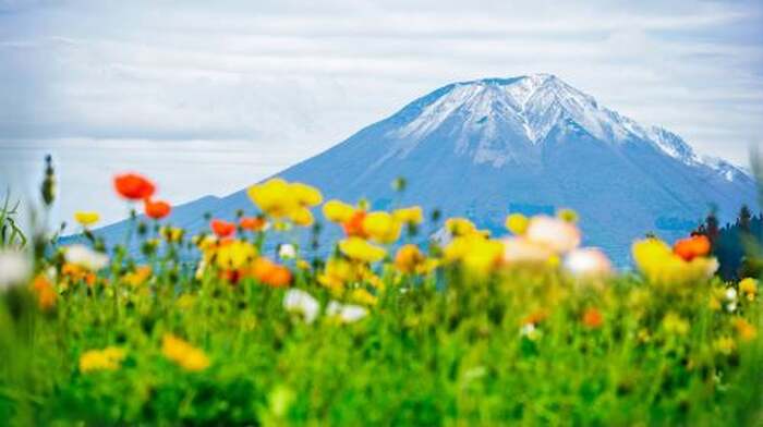 Japan Mt. Fuji 5th Station Climbing Experience, Strolling through Oshino Hakkai, and Hot Spring Experience Healing one-day tour - Main Image