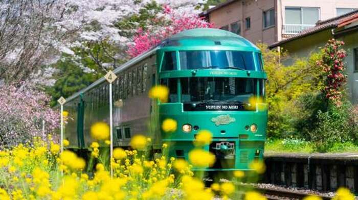 Kyushu Hot Spring Hidden Gems Tour | Beppu + Yufuin Healing Day Trip - Main Image