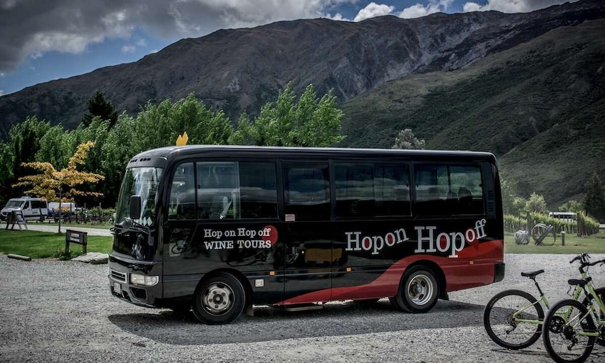Hop On Hop Off Wine Tour departing Queenstown - Main Image