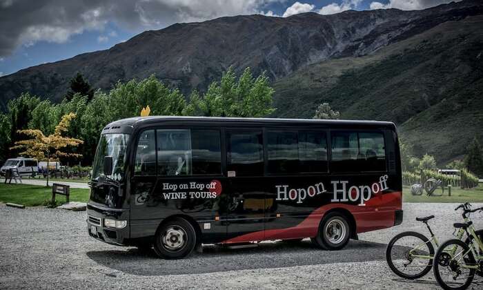 Hop On Hop Off Wine Tour departing Queenstown - Main Image