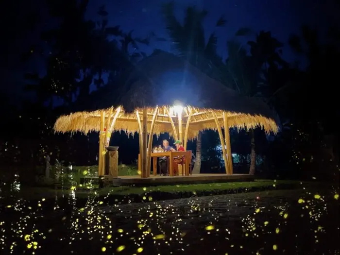 Bali Firefly Watching Tours