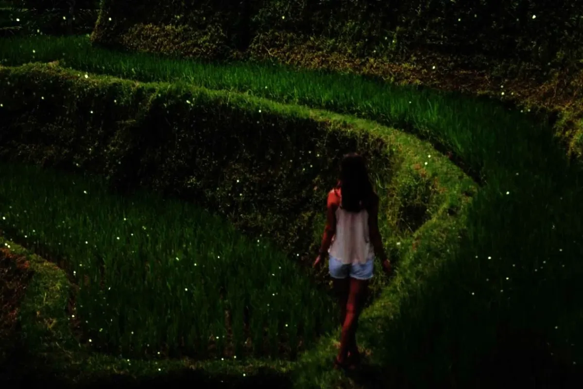 8bd7684e-b123-4d9b-a67c-3794c43fbc2a_alt