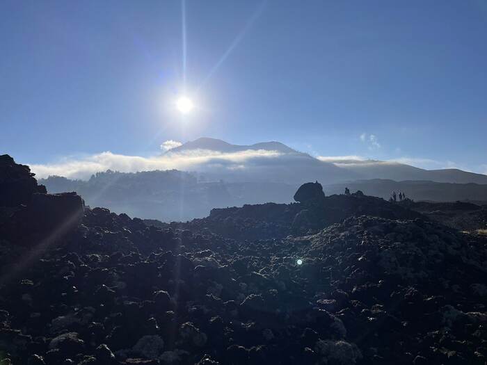 7acebcda-86c2-46cd-980d-8bd4885c4774_alt