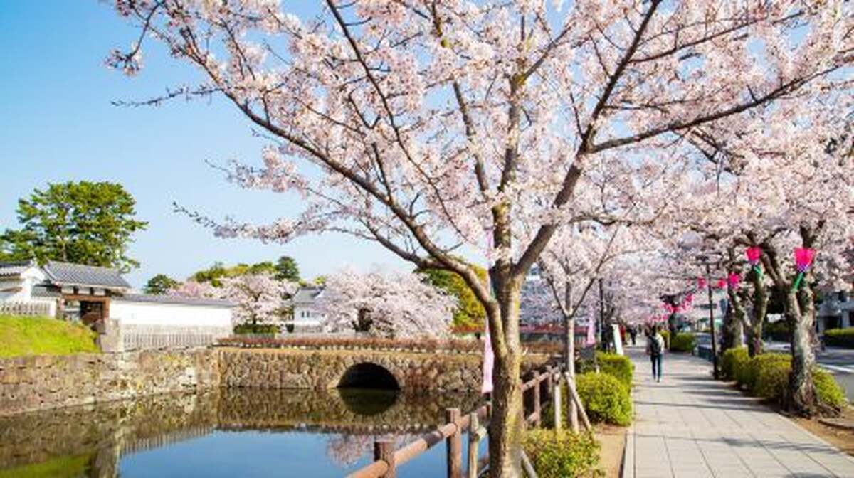 Odawara Castle - Main Image