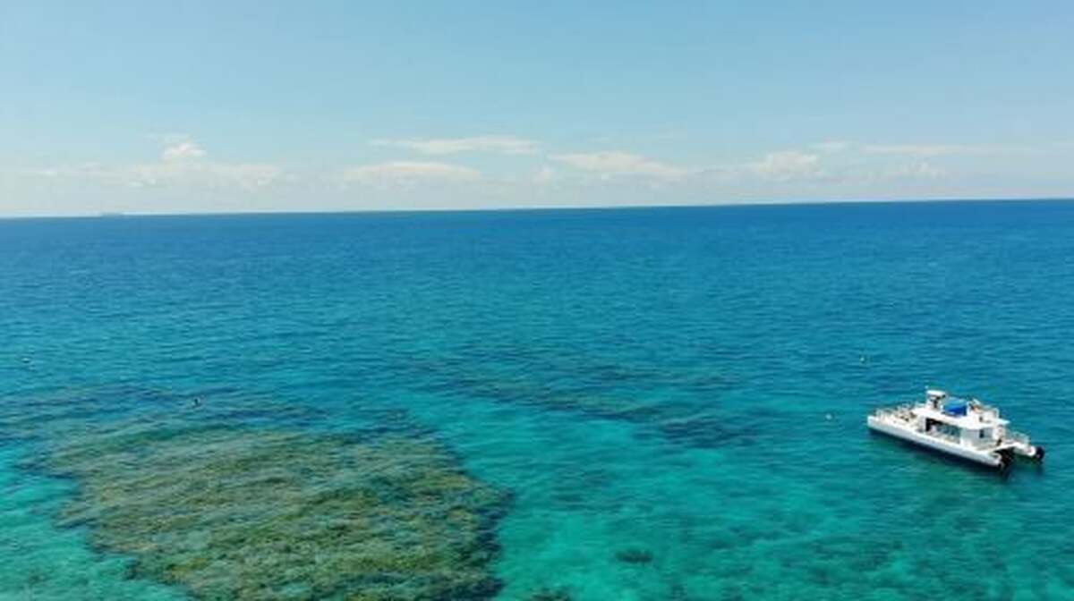 Key West Dolphin Watching + Snorkeling + Sunset Cruise Transport Passes - Main Image