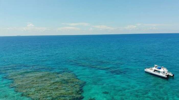 Key West Dolphin Watching + Snorkeling + Sunset Cruise Transport Passes - Main Image