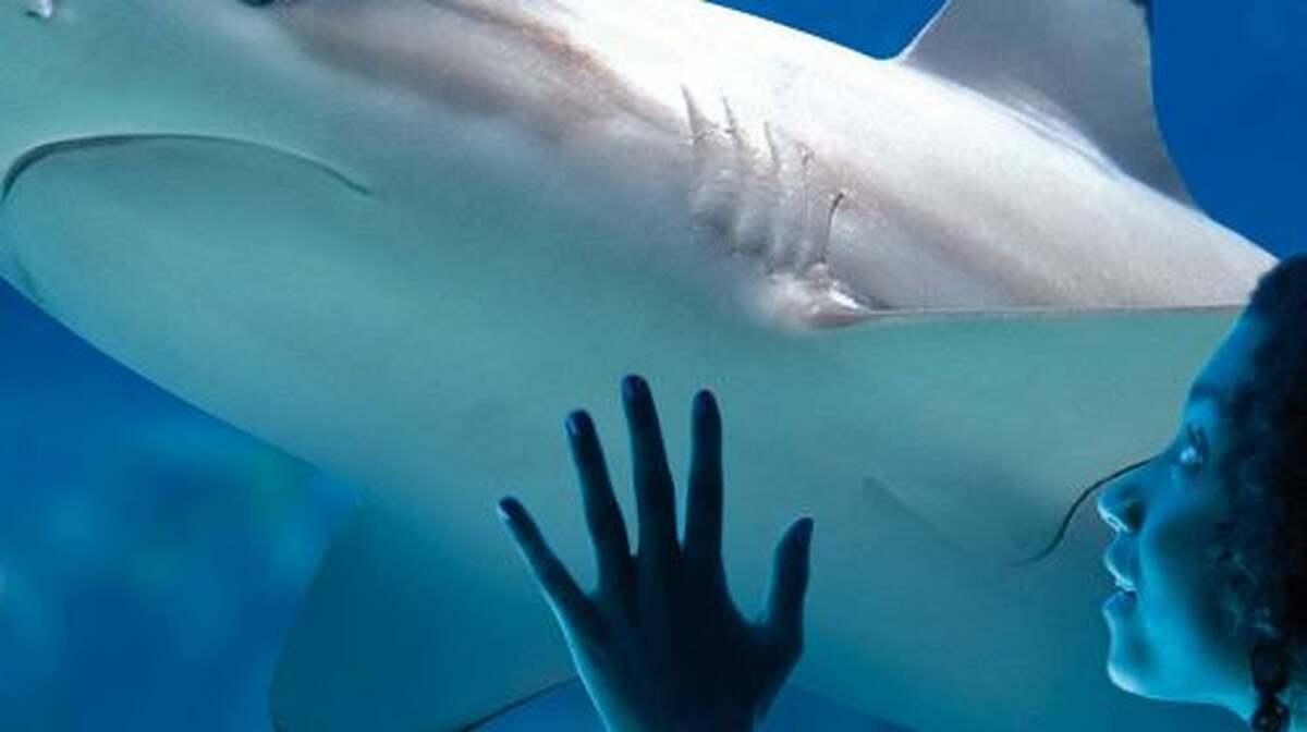 SEA LIFE Paris Aquarium Child - Main Image