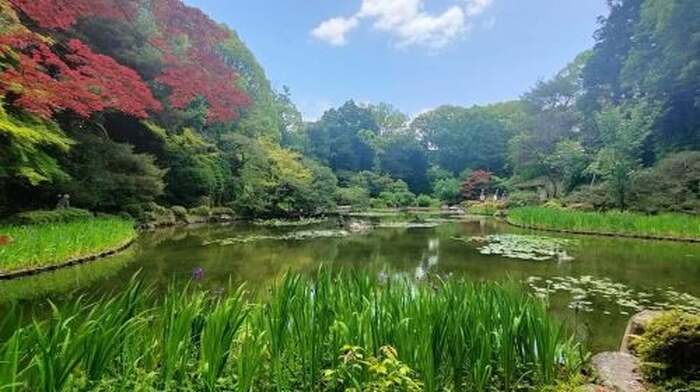 Kyoto: private and customized tour (walking/public transportation) Day Tours - Main Image