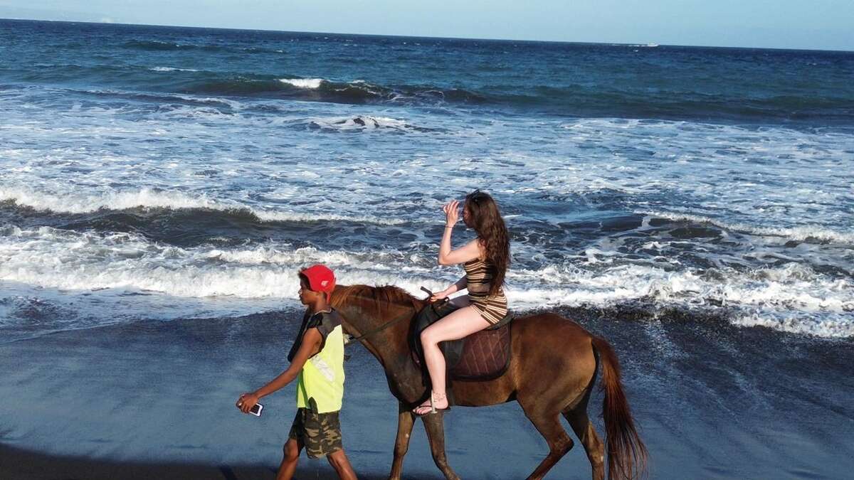 80342bc0-8f3c-4ce7-8fbd-29c8395ee19d_alt
