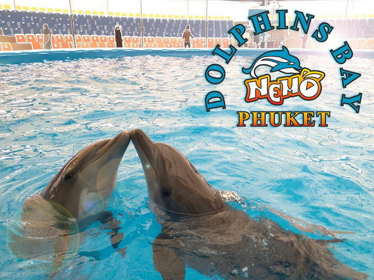 Dolphins Bay Phuket - Main Image