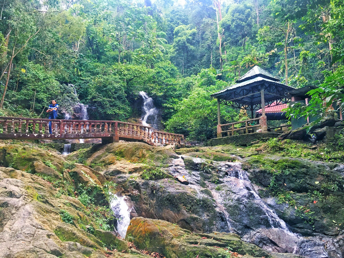 Templer's Park Half Day Tour (SIC - Join In Tour) - Main Image