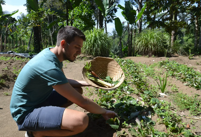 c351c4cc-4ead-4cd7-8f6b-70d150a1a90c_alt