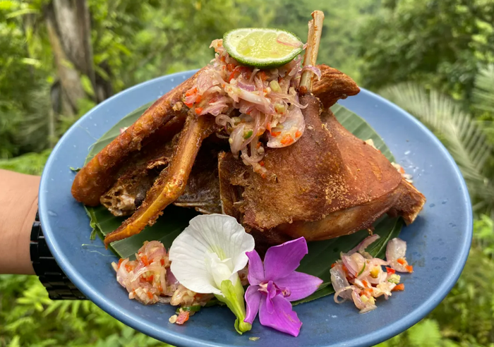 dfbbe278-89ae-41cf-a023-06421ff7ea82_alt