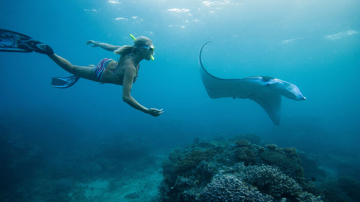 Manta Ray Snorkeling Nusa Penida – Swim with Ocean Giants by Manta Ray Snorkeling - Main Image