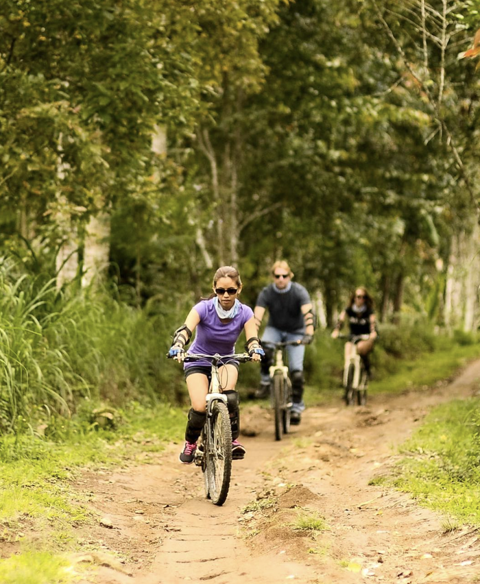 a09d13f8-4d78-4a93-8048-7ee5215c1736_alt