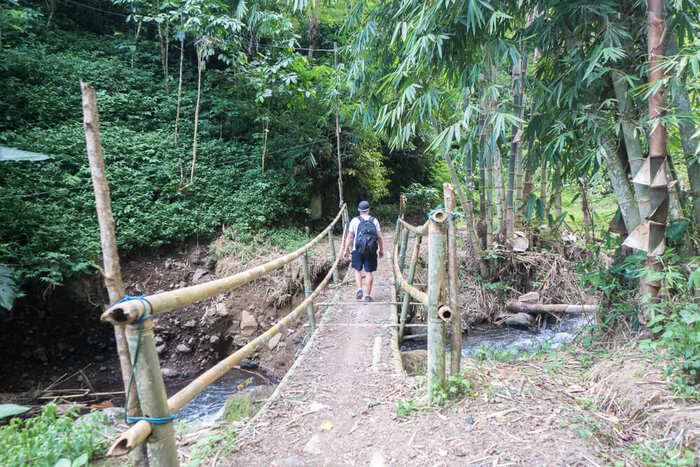 cccf7fb2-26a4-43c8-a71f-5fc3a0797104_alt