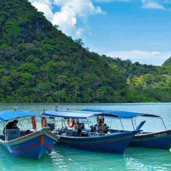 Langkawi Mangrove Tours Package - Main Image
