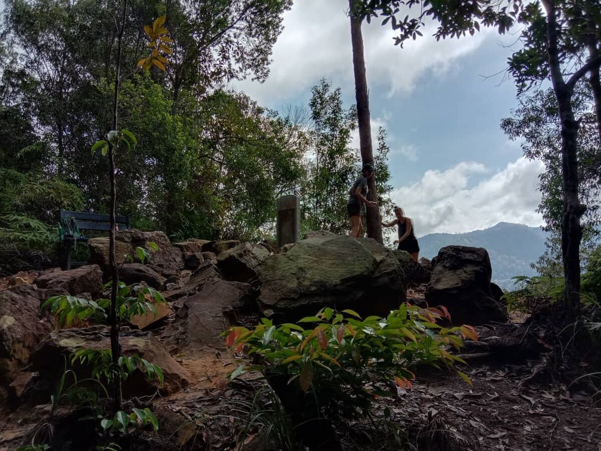 Taman Negara National Park Trekking Day trip (SIC - Join In Tour) - Main Image