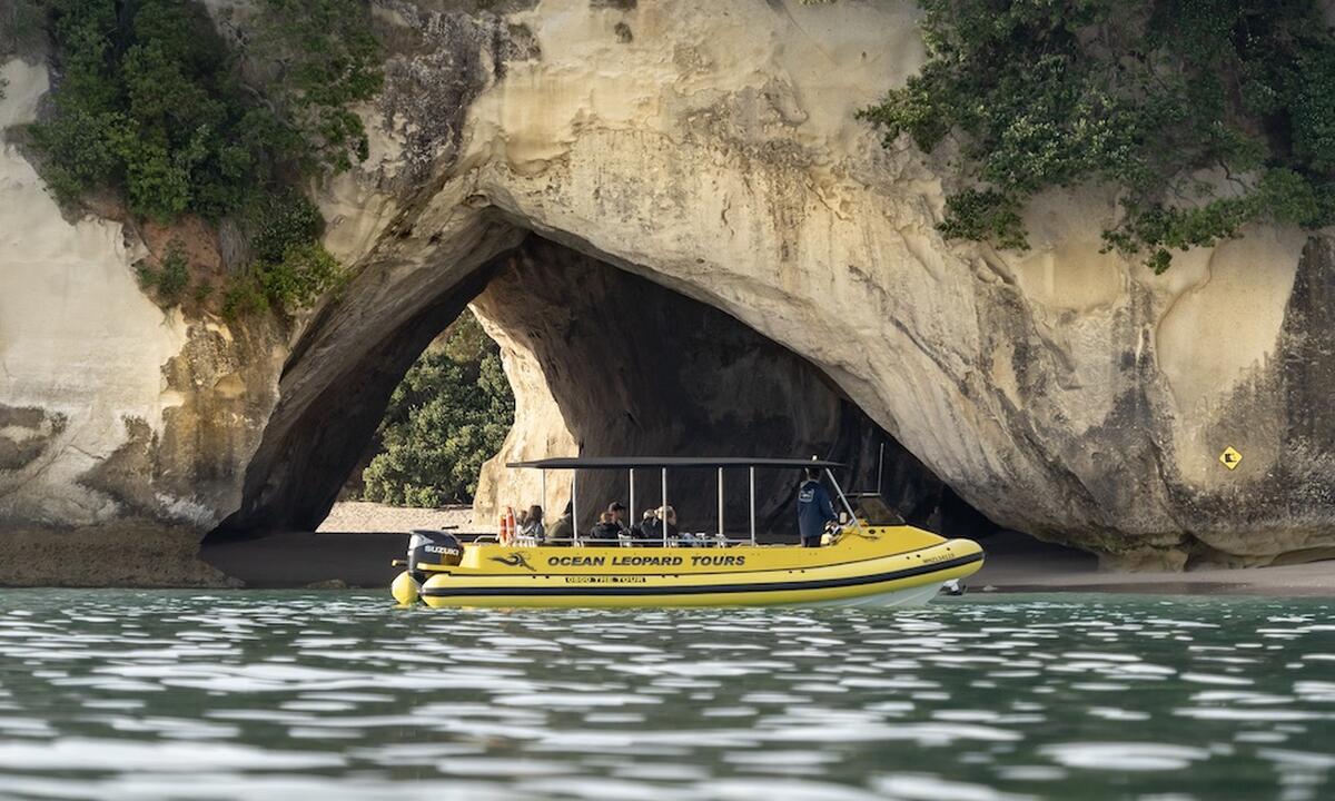Cathedral Cove Boat Tour - Main Image