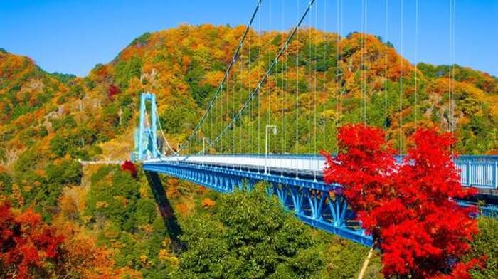 Tokyo: Autumn Hitachi Seaside Park, Fukuroda Falls & Ryujin Day Tours - Main Image